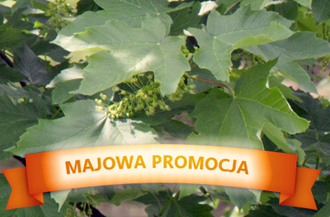 majowa_promocja